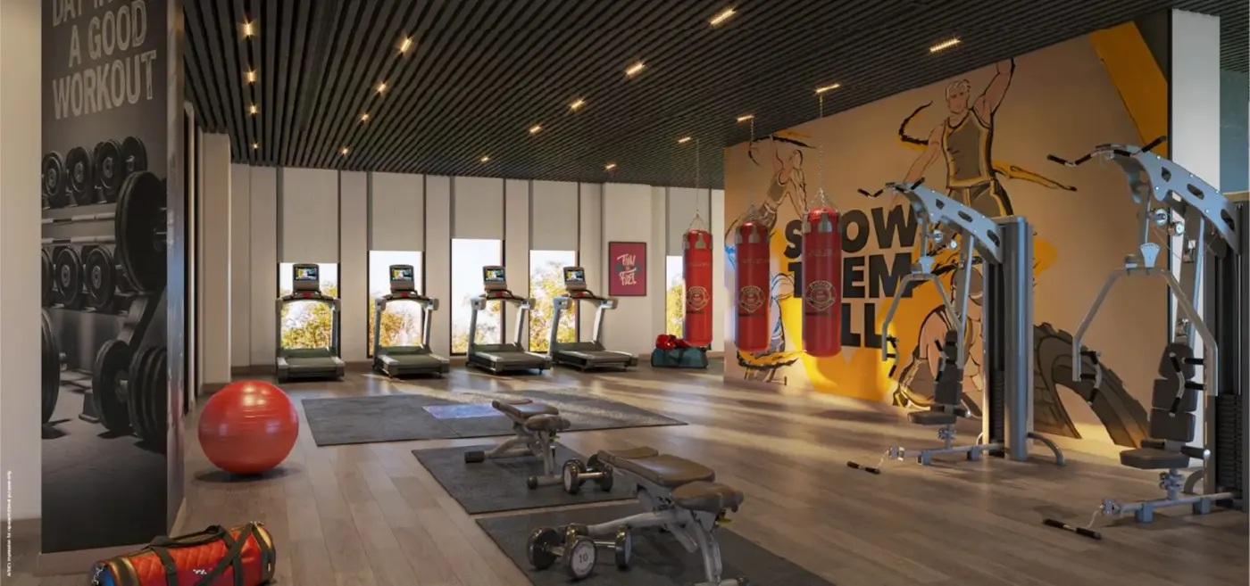 Gym with boxing and MMA zone